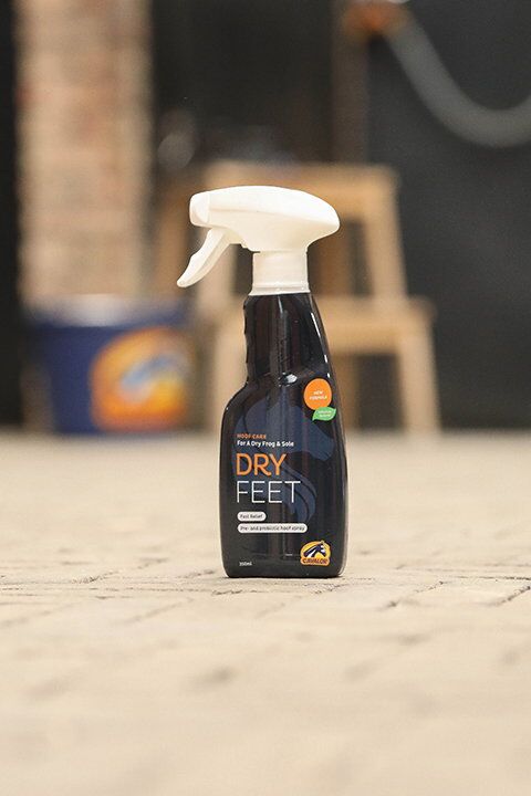 Dry Feet