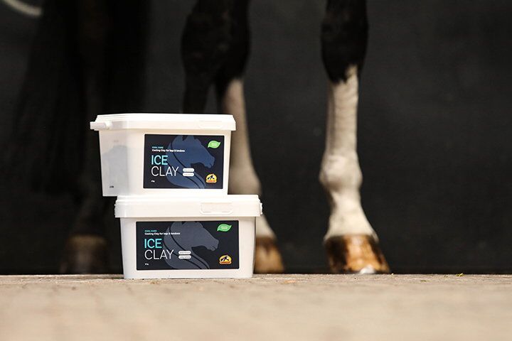 Ice Clay