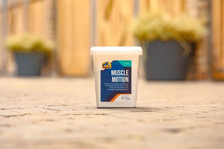 Muscle Motion