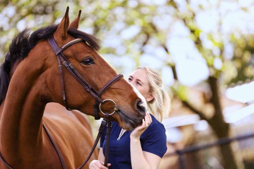 Les besoins nutritionnels spécifiques de ton cheval de compétition – comment savoir si les rations sont vraiment adaptées ?