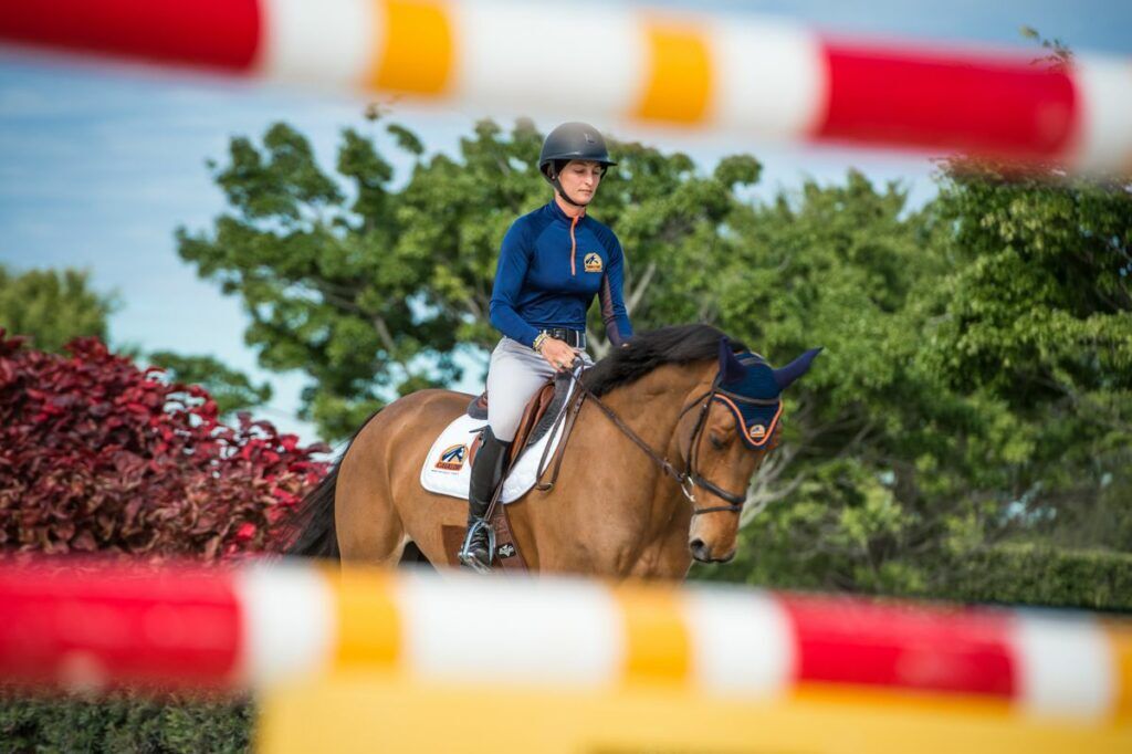 Science Sunday: proteins as building blocks for the equine body