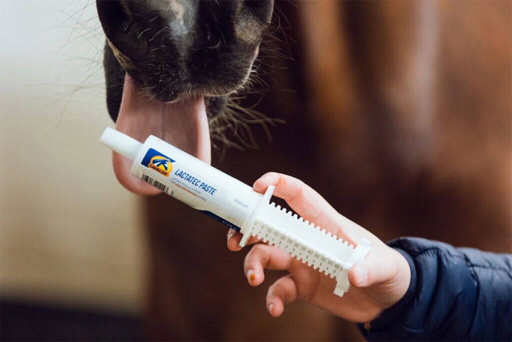 Alles over pasta’s voor paarden