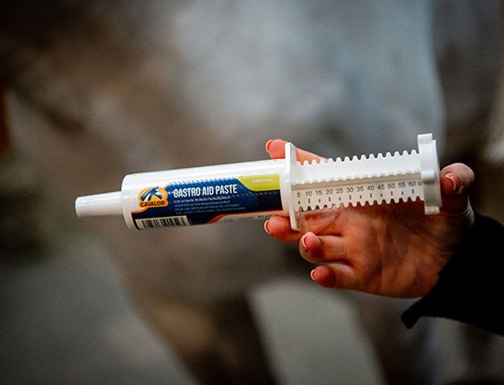 Gastro Aid Paste