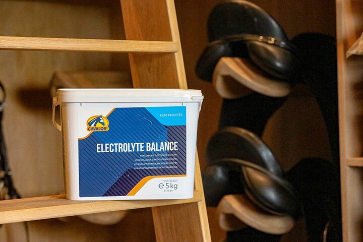 Electrolyte Balance