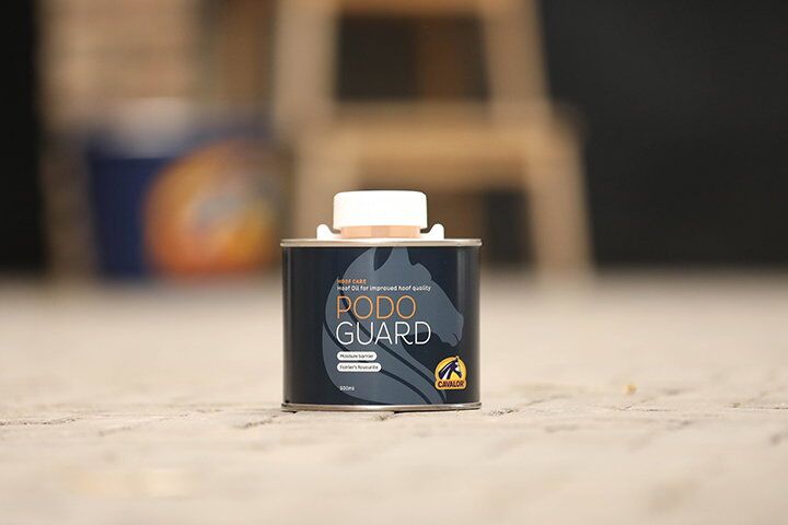 PodoGuard