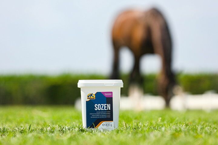 SoZen