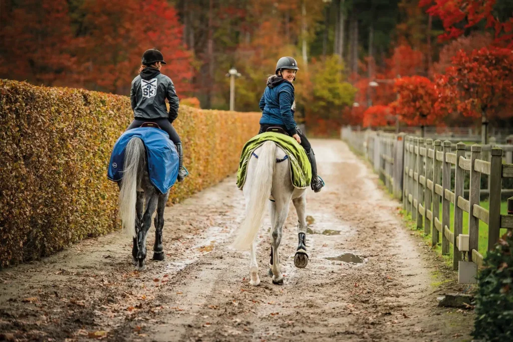 Tips om de immuniteit van je paard te boosten