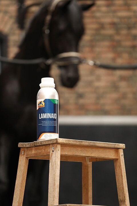 LaminAid