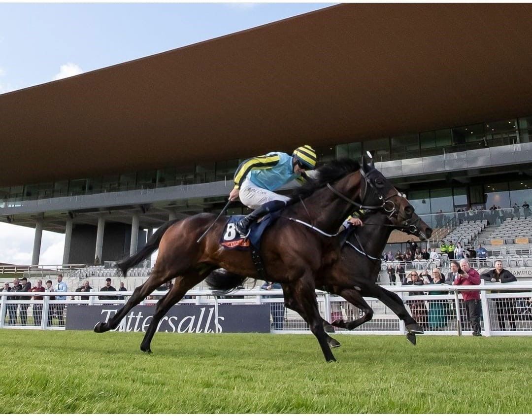 curragh_5