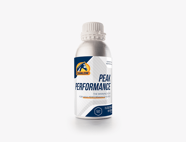 Take It Easy Forte | Cavalor