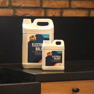 Electroliq Balance