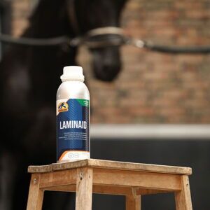 LaminAid