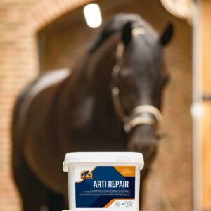 Arti Repair