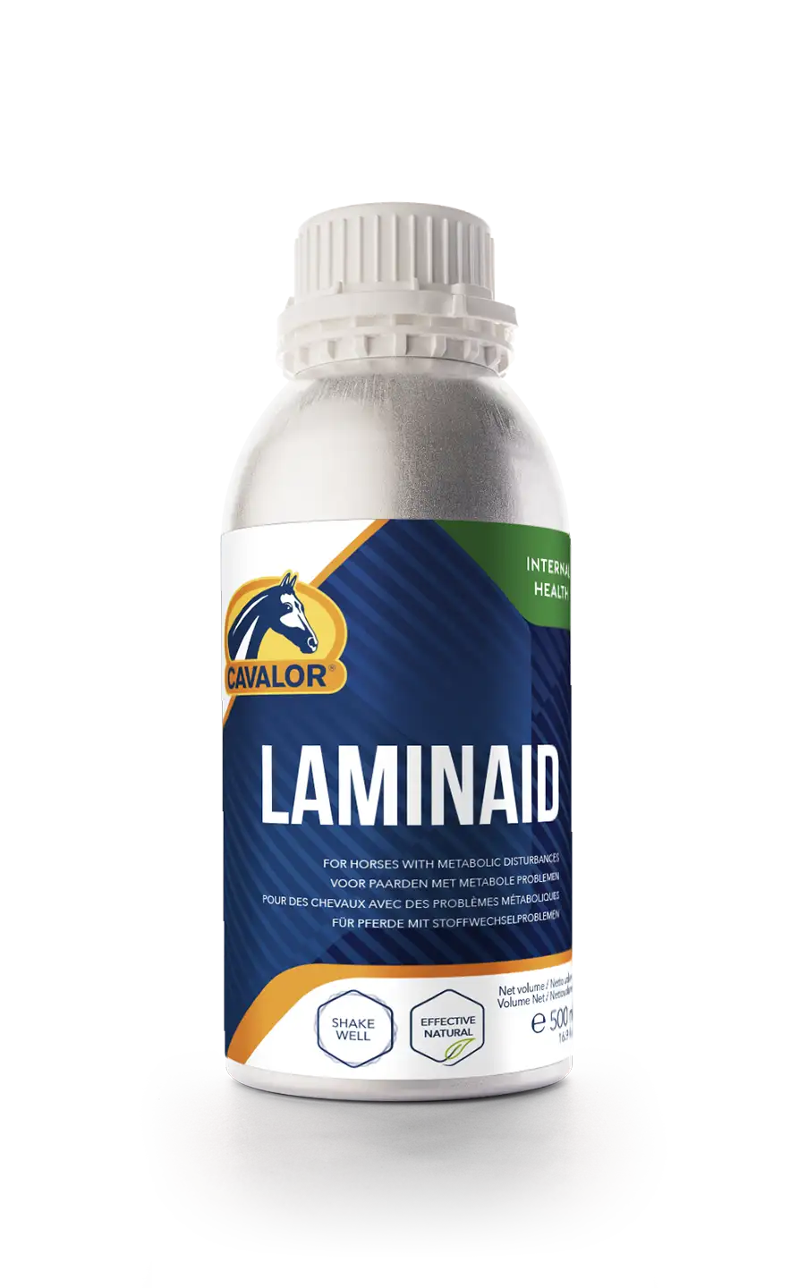 NUT - LaminAid 500ml bottle RGB Transp_LR