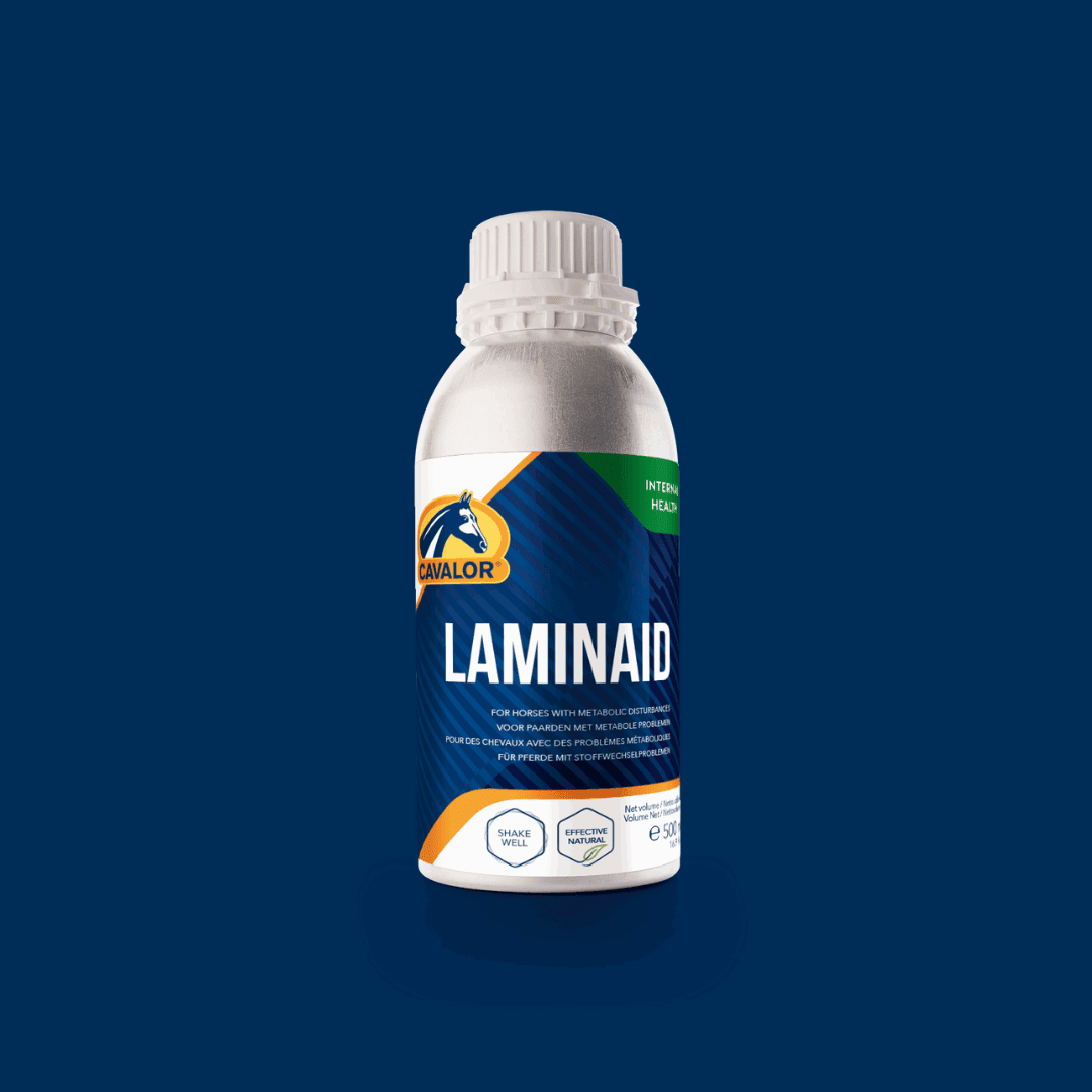 LaminAid