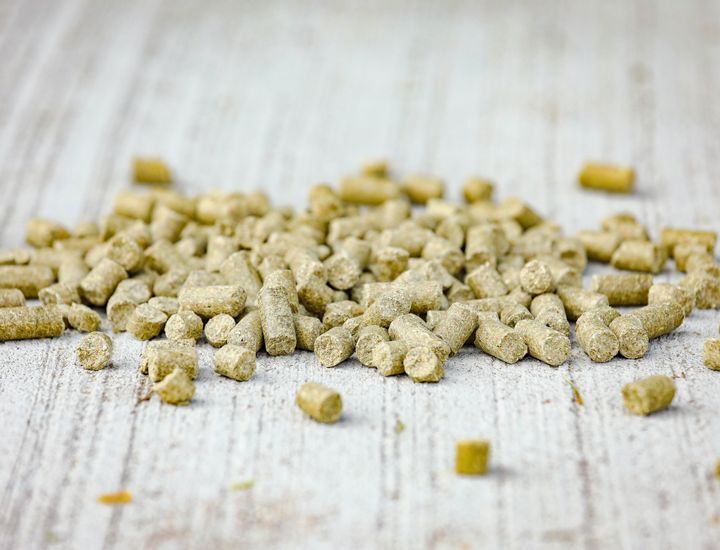 Action Pellet