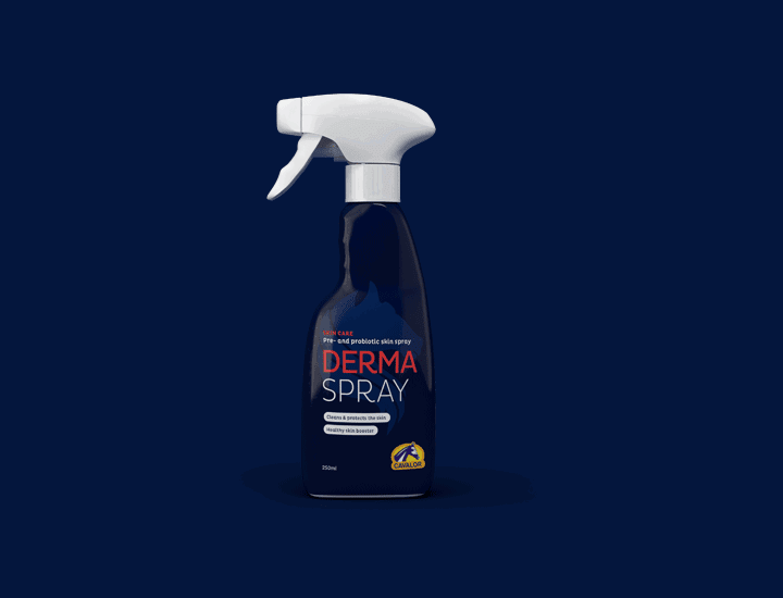 Derma Spray