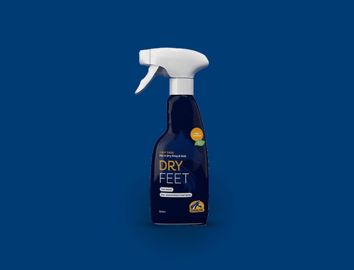 Dry Feet