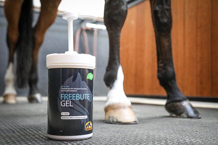 FreeBute Gel