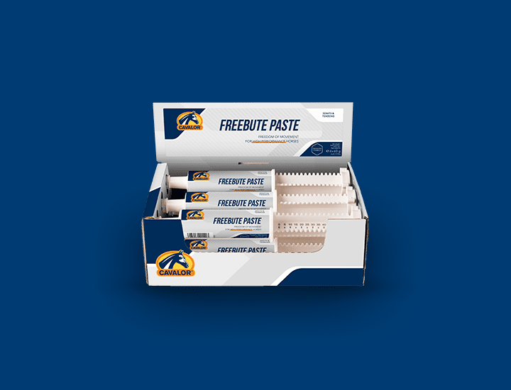 FreeBute Paste