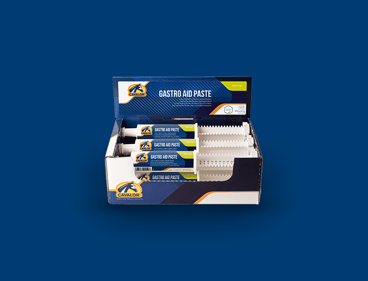 Gastro Aid Paste