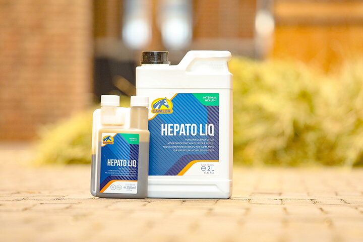 Hepato Liq