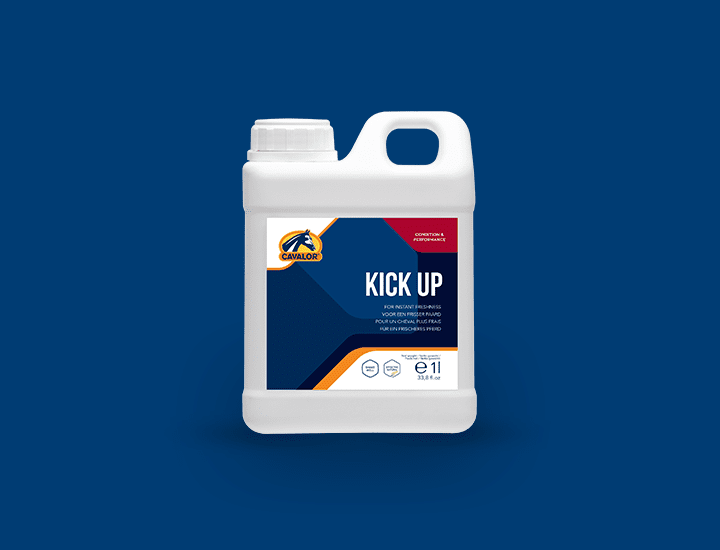 Kick Up