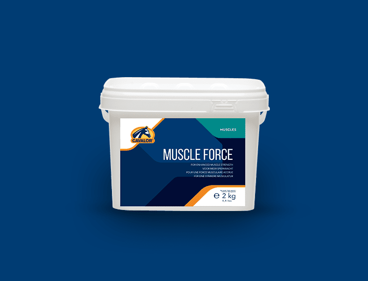 Muscle Force