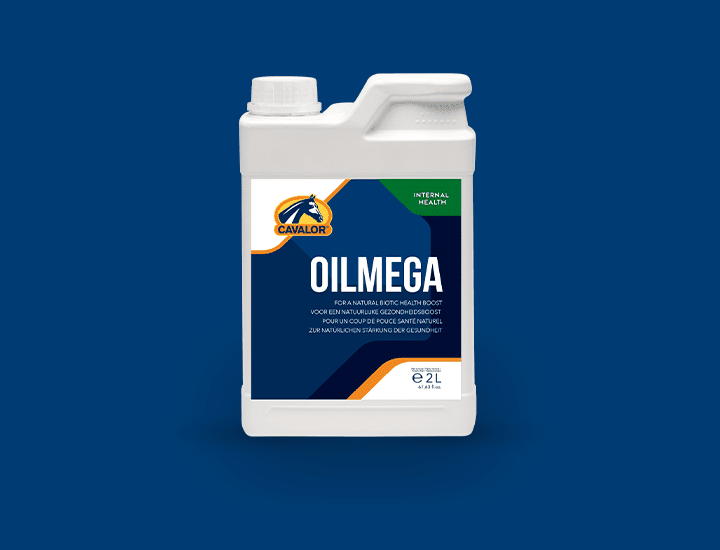 OilMega