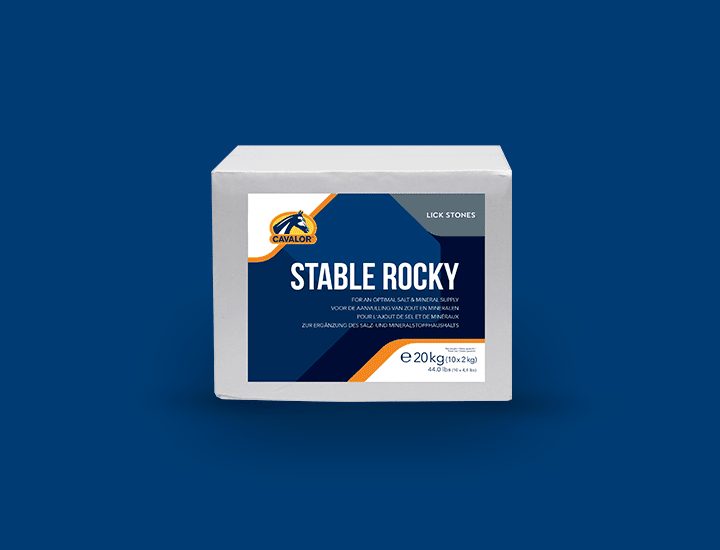 Stable Rocky