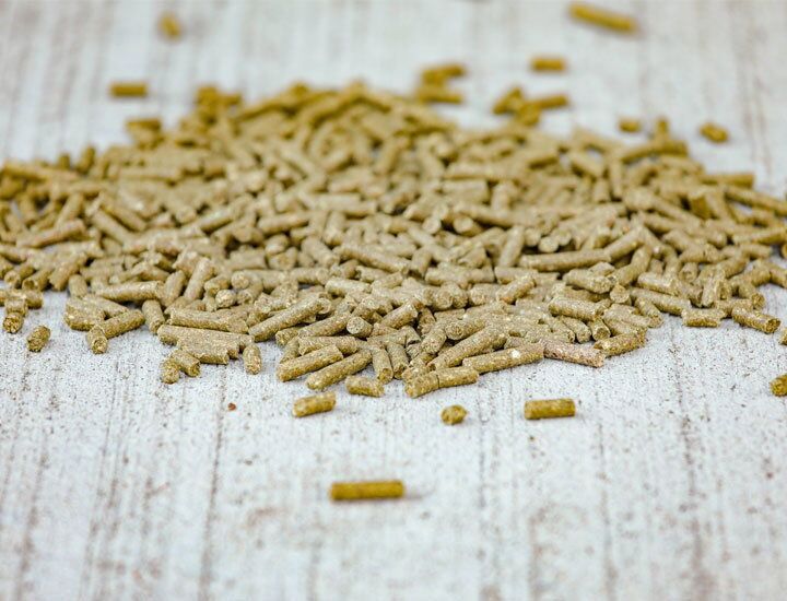 Tradition Pellet