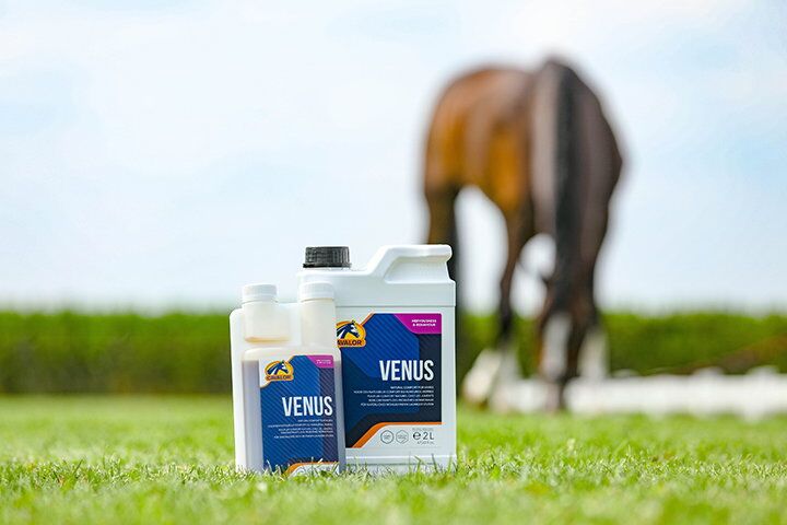 Venus