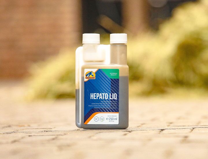 Hepato Liq