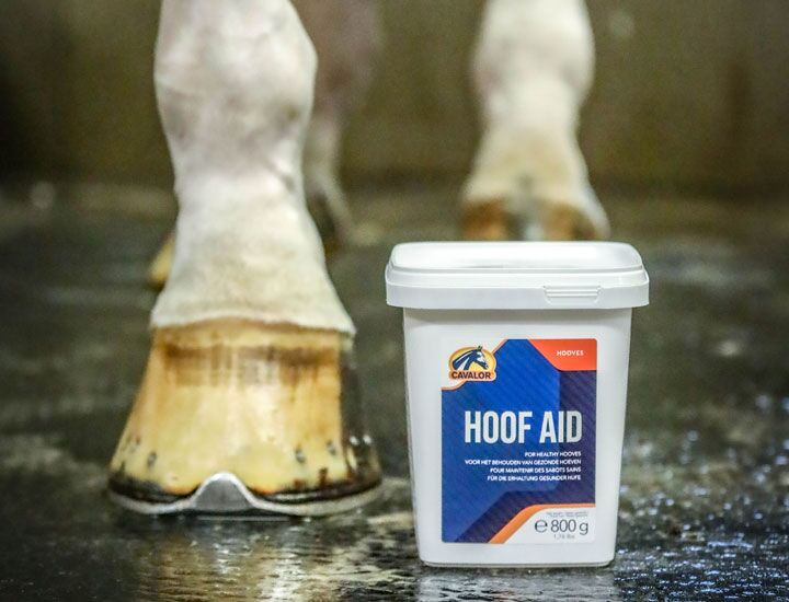 Hoof Aid