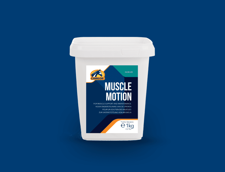Muscle Motion