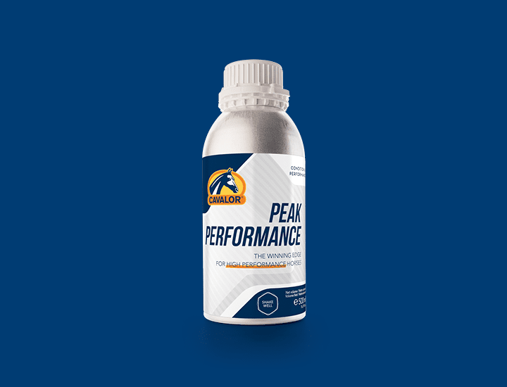 Peak Performance
