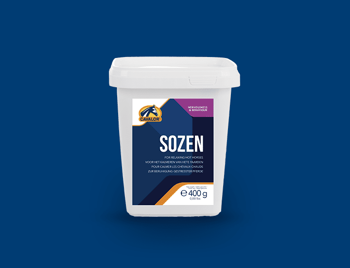 SoZen
