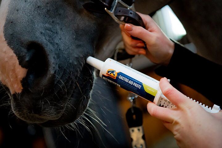 Gastro Aid Paste