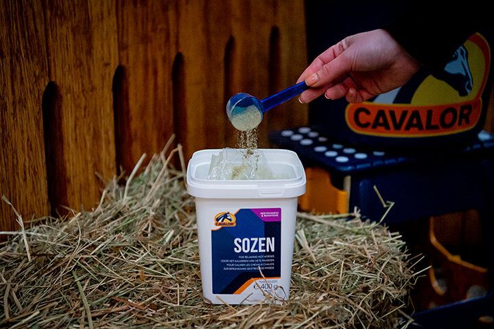 SoZen