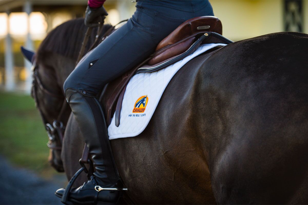 6 ways to prevent equine digestive problems