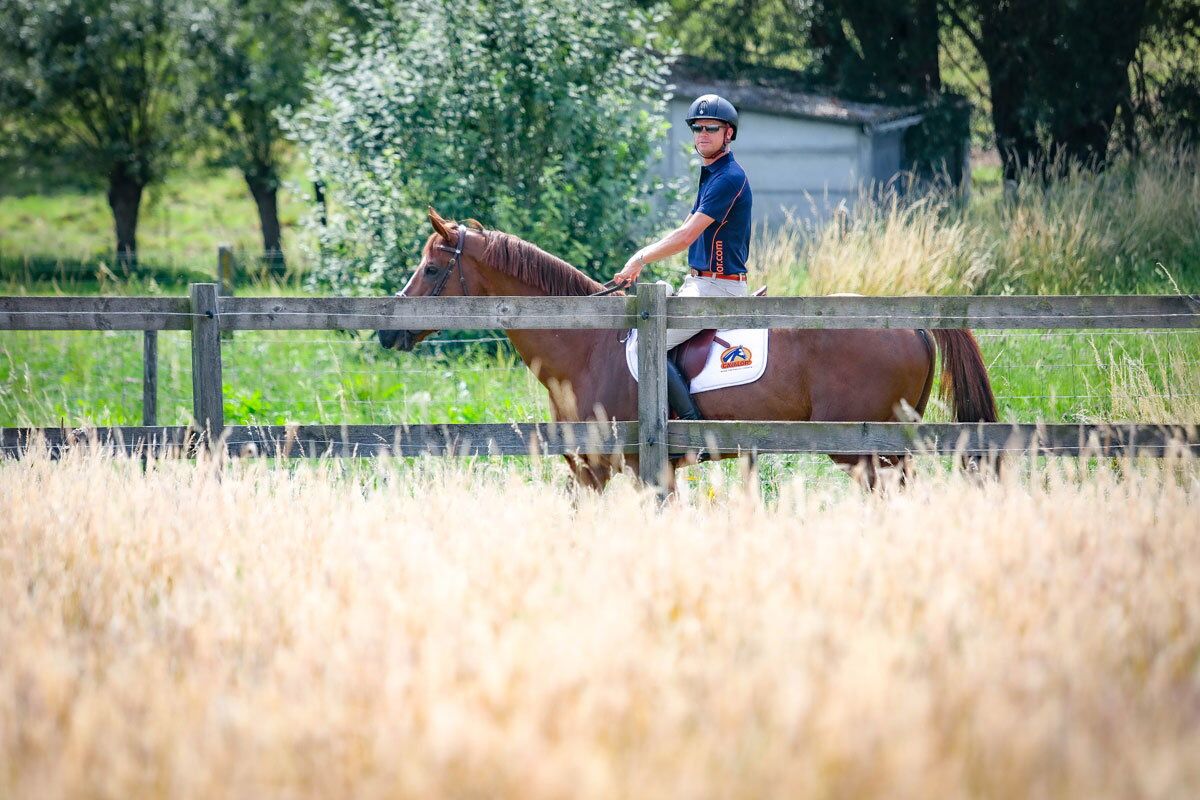 A horse that’s healthy from the inside