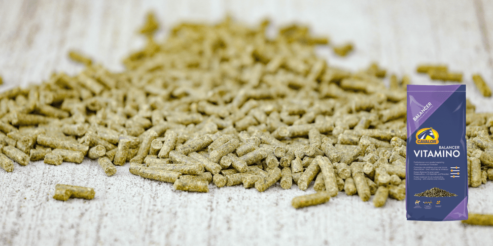 Protein quality and quantity