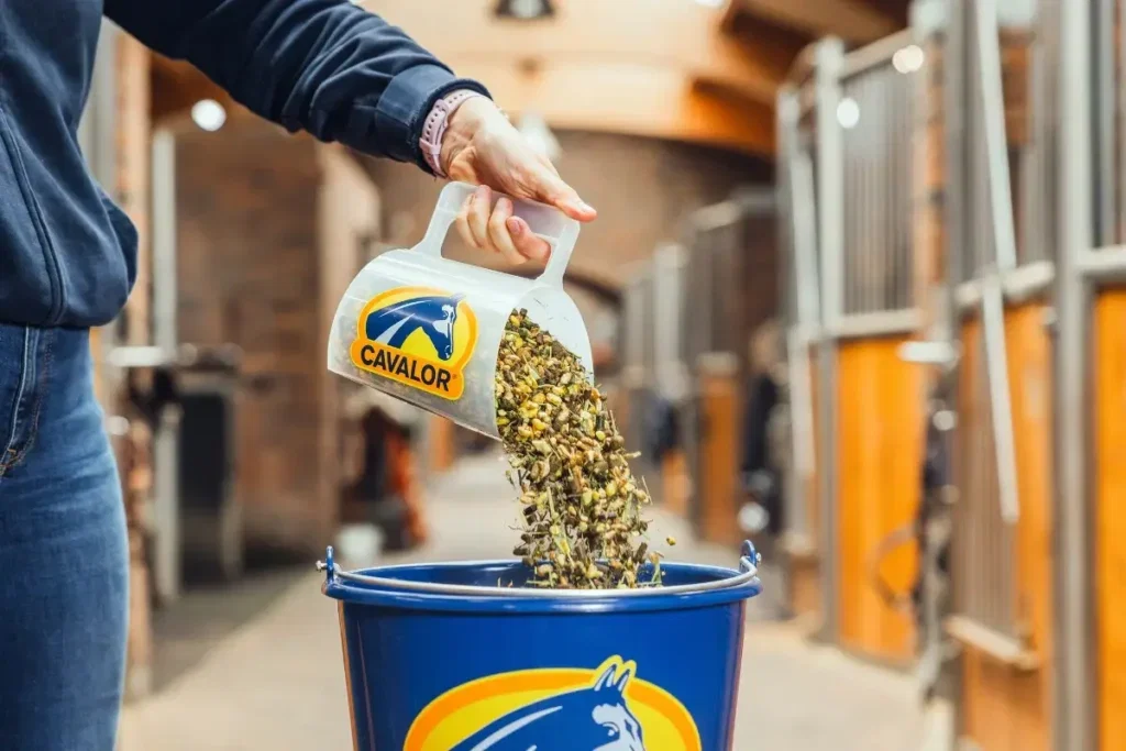 Which feed is best for my horse?