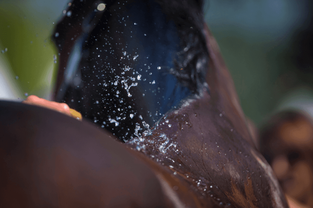 Summer tips: how to keep your horse comfortable and healthy in the heat?