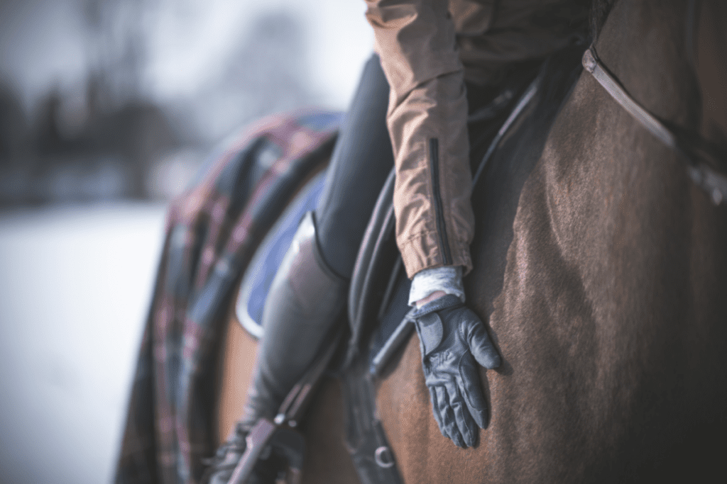 Winter routines for (tomorrow’s) sport horses