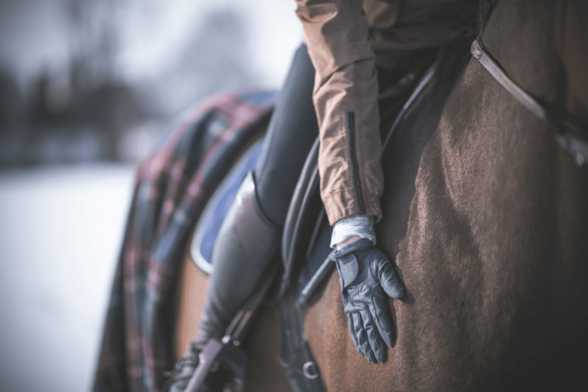 Winter routines for (tomorrow’s) sport horses