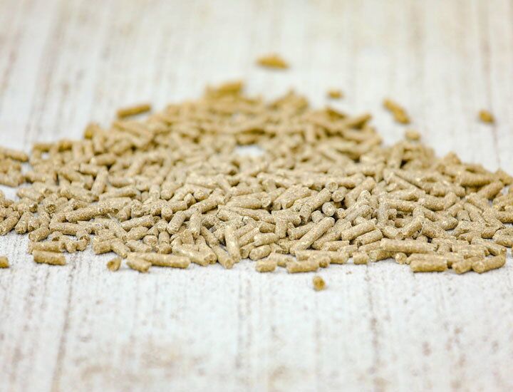 Probreed Pellet