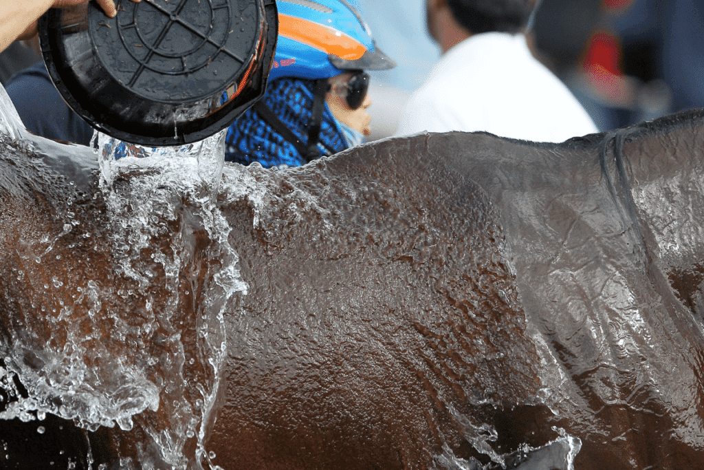 Sport in hot temperatures