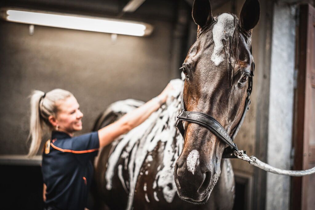 L&rsquo;été, le temps des shampooings !