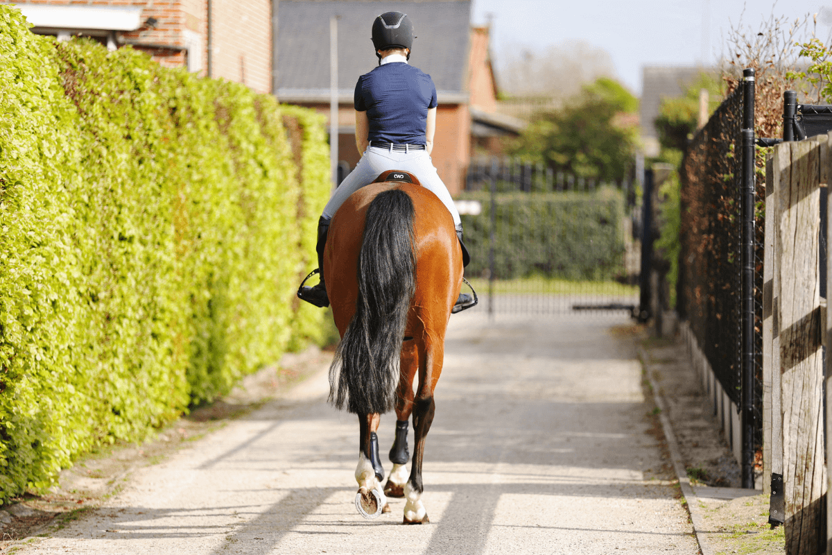Optimal recovery after exercise